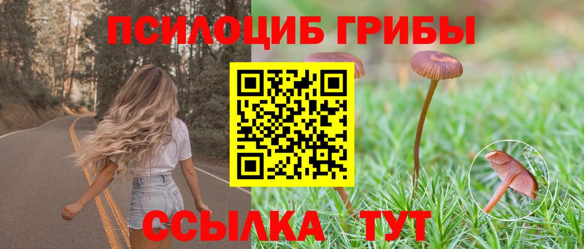 Галлюциногенные грибы Psilocybine cubensis Великие Луки