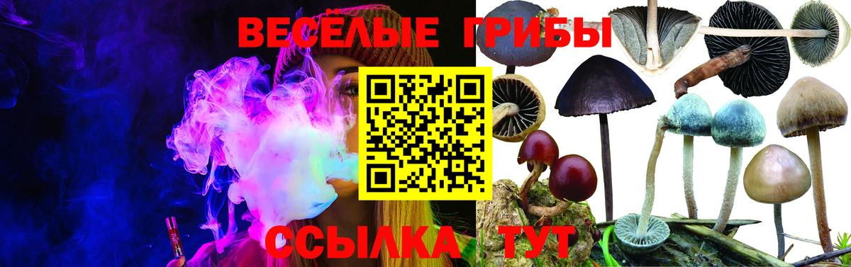 Великие Луки  Псилоцибиновые грибы GOLDEN TEACHER  Вход с VPN 